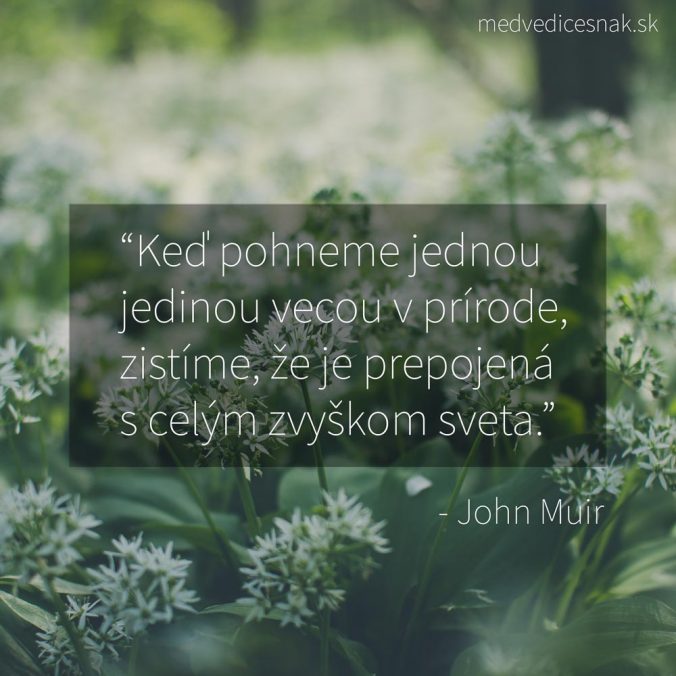 John Muir citát o prírode